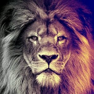 Meet your Posher, Broderick